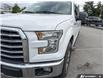 2016 Ford F-150 Lariat (Stk: T89958) in Richmond - Image 8 of 25