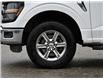 2024 Ford F-150 XLT (Stk: 03332) in GEORGETOWN - Image 6 of 24