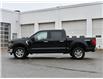 2024 Ford F-150 XLT (Stk: 03331) in GEORGETOWN - Image 5 of 24