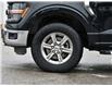 2024 Ford F-150 XLT (Stk: 03331) in GEORGETOWN - Image 6 of 24