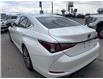 2019 Lexus ES 350 Premium (Stk: S158378A) in Newmarket - Image 3 of 12