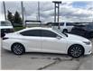 2019 Lexus ES 350 Premium (Stk: S158378A) in Newmarket - Image 6 of 12