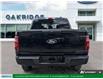 2025 Ford F-150 XLT (Stk: U16615) in London - Image 6 of 29