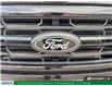 2025 Ford F-150 XLT (Stk: U16615) in London - Image 11 of 29