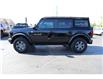 2024 Ford Bronco Big Bend (Stk: PR88810) in Windsor - Image 2 of 27
