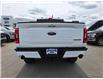 2023 Ford F-150 Tremor (Stk: TA-767A) in Calgary - Image 4 of 11