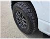 2023 Ford F-150 Tremor (Stk: TA-767A) in Calgary - Image 5 of 11