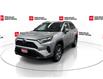 2023 Toyota RAV4 XLE (Stk: 10120881A) in Markham - Image 4 of 32