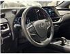 2025 Lexus UX 300h  (Stk: 14112541A) in Markham - Image 11 of 26