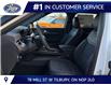 2026 Ford Explorer ST-Line (Stk: LFEX01919) in Tilbury - Image 7 of 15 2026 Ford Explorer ST-Line (Stk: LFEX01919) in Tilbury - Image 7 of 15