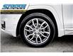 2024 GMC Terrain Denali (Stk: 47014) in Waterloo - Image 11 of 30