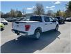 2021 Ford F-150 (Stk: 260380) in Ottawa - Image 6 of 34 2021 Ford F-150 (Stk: 260380) in Ottawa - Image 6 of 34