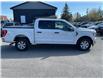 2021 Ford F-150 (Stk: 260380) in Ottawa - Image 7 of 34 2021 Ford F-150 (Stk: 260380) in Ottawa - Image 7 of 34