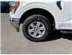 2021 Ford F-150 (Stk: 260380) in Ottawa - Image 9 of 34 2021 Ford F-150 (Stk: 260380) in Ottawa - Image 9 of 34