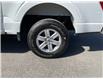 2021 Ford F-150 (Stk: 260380) in Ottawa - Image 10 of 34 2021 Ford F-150 (Stk: 260380) in Ottawa - Image 10 of 34