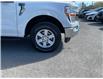 2021 Ford F-150 (Stk: 260380) in Ottawa - Image 11 of 34 2021 Ford F-150 (Stk: 260380) in Ottawa - Image 11 of 34