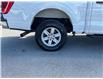 2021 Ford F-150 (Stk: 260380) in Ottawa - Image 12 of 34 2021 Ford F-150 (Stk: 260380) in Ottawa - Image 12 of 34