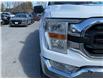 2021 Ford F-150 (Stk: 260380) in Ottawa - Image 13 of 34 2021 Ford F-150 (Stk: 260380) in Ottawa - Image 13 of 34