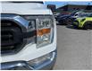 2021 Ford F-150 (Stk: 260380) in Ottawa - Image 14 of 34 2021 Ford F-150 (Stk: 260380) in Ottawa - Image 14 of 34