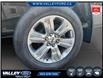 2019 Ford F-150  (Stk: 26122A) in Kentville - Image 7 of 15