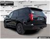 2026 Ford Expedition Tremor (Stk: 6EP5894) in Brantford - Image 4 of 24