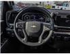 2025 Chevrolet Silverado 3500HD LT (Stk: 25801) in Uxbridge - Image 12 of 20