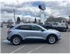 2022 Ford Escape SE Hybrid (Stk: 26079A) in Espanola - Image 5 of 19
