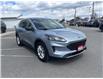 2022 Ford Escape SE Hybrid (Stk: 26079A) in Espanola - Image 6 of 19