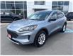 2022 Ford Escape SE Hybrid (Stk: 26079A) in Espanola - Image 8 of 19