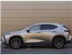 2023 Lexus NX 250 Base (Stk: PL3331) in Windsor - Image 5 of 28