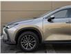 2023 Lexus NX 250 Base (Stk: PL3331) in Windsor - Image 4 of 28