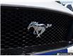 2020 Ford Mustang GT Premium (Stk: 603866) in St. Catharines - Image 7 of 27