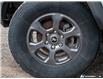 2024 Ford Bronco Big Bend (Stk: 6401A) in St. Thomas - Image 6 of 27