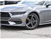 2025 Ford Mustang EcoBoost (Stk: 03340) in GEORGETOWN - Image 2 of 22