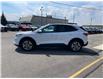 2021 Ford Escape SEL (Stk: T142A) in Chatham - Image 8 of 33 2021 Ford Escape SEL (Stk: T142A) in Chatham - Image 8 of 33