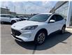 2021 Ford Escape SEL (Stk: T142A) in Chatham - Image 9 of 33 2021 Ford Escape SEL (Stk: T142A) in Chatham - Image 9 of 33