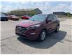 2016 Hyundai Tucson Luxury (Stk: T192A) in Chatham - Image 1 of 38