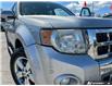2009 Ford Escape Limited (Stk: P153234AZ) in Grimsby - Image 8 of 25