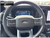 2024 Ford F-150 Lariat (Stk: 6F4898A) in Brantford - Image 11 of 22
