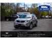 2015 Kia Sorento LX (Stk: R28050B) in Ottawa - Image 8 of 21 2015 Kia Sorento LX (Stk: R28050B) in Ottawa - Image 8 of 21