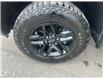 2024 Chevrolet Silverado 1500 Custom Trail Boss (Stk: A2273) in Ottawa - Image 27 of 28 2024 Chevrolet Silverado 1500 Custom Trail Boss (Stk: A2273) in Ottawa - Image 27 of 28