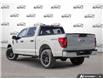 2026 Ford F-150 STX (Stk: 26F1459) in St. Catharines - Image 4 of 25