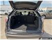 2023 Ford Edge Titanium (Stk: 5UTT5444) in Sarnia - Image 11 of 24