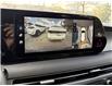 2023 Hyundai Palisade Urban 8 Passenger (Stk: 262015A) in Aurora - Image 17 of 17 2023 Hyundai Palisade Urban 8 Passenger (Stk: 262015A) in Aurora - Image 17 of 17
