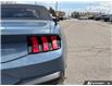 2025 Ford Mustang EcoBoost Premium (Stk: P7401) in Oakville - Image 10 of 24