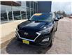 2019 Hyundai Tucson ESSENTIAL (Stk: 24662) in Pembroke - Image 5 of 23