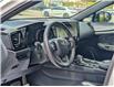 2024 Lexus NX 350 Base (Stk: WN26265A) in Welland - Image 14 of 28 2024 Lexus NX 350 Base (Stk: WN26265A) in Welland - Image 14 of 28