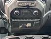 2022 Chevrolet Silverado 1500 Custom Trail Boss (Stk: WN26451A) in Welland - Image 19 of 25