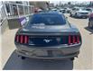 2017 Ford Mustang EcoBoost (Stk: 28435T) in Newmarket - Image 3 of 12