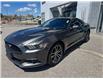 2017 Ford Mustang EcoBoost (Stk: 28435T) in Newmarket - Image 6 of 12